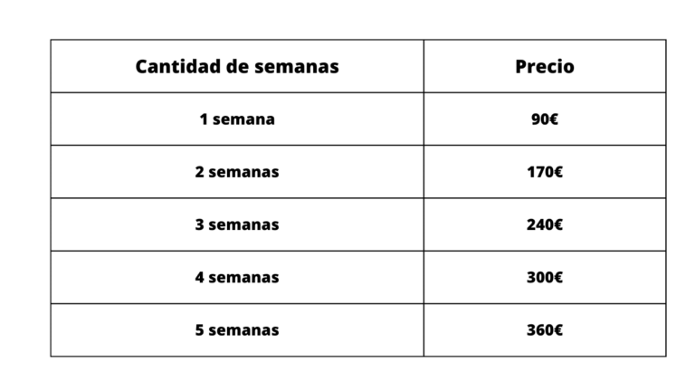alcorcon campamentos verano