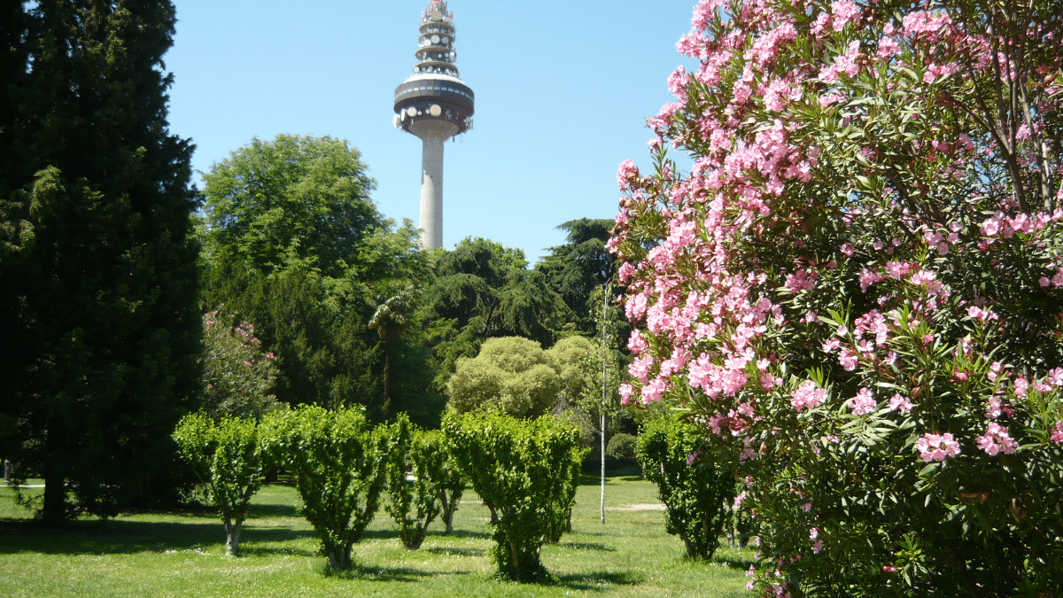 picnic madrid