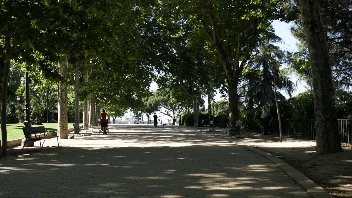 picnic madrid