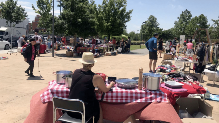 paracuellos mercadillo vecinal