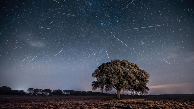 las perseidas