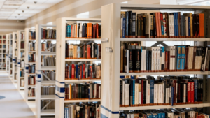 prestamos libros comunidad madrid bibliotecas