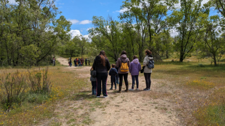 alcobendas carrera parque forestal
