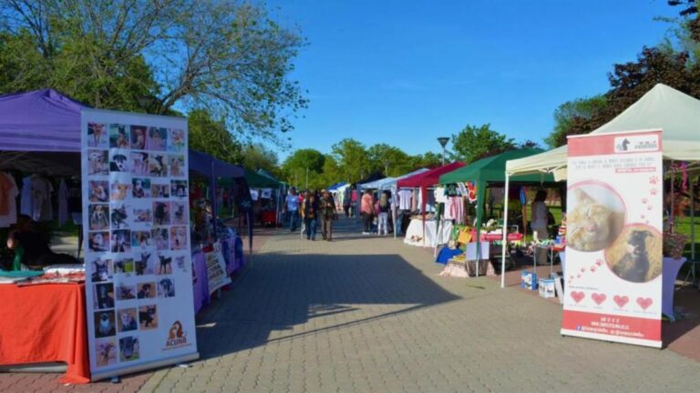 Alcorcón Feria de Adopción
