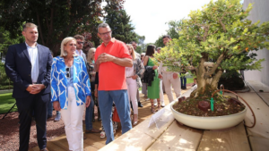 museo bonsai collado villalba
