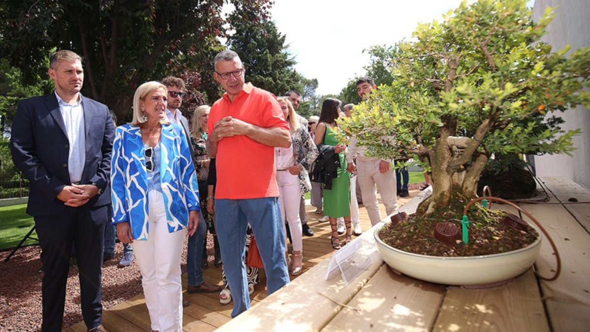 museo bonsai collado villalba