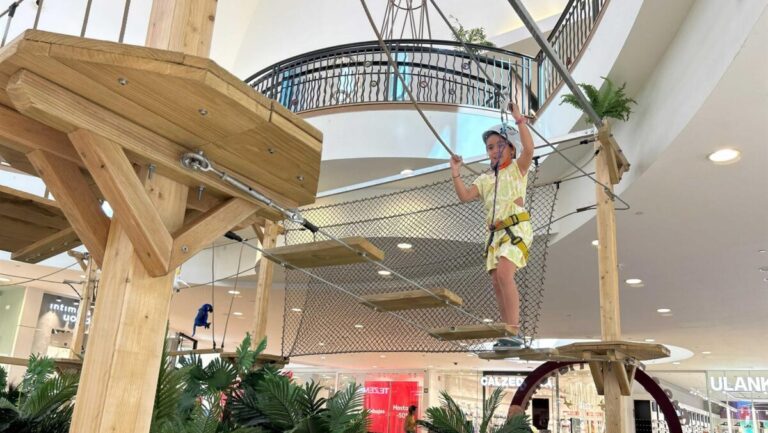 circuito Tree Tops Adventure