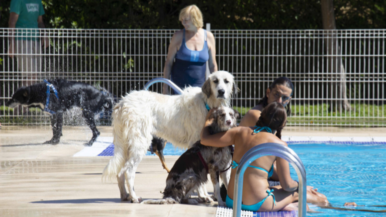 chapuzon perruno rivas