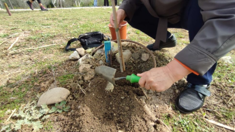 san fernando talleres educacion ambiental