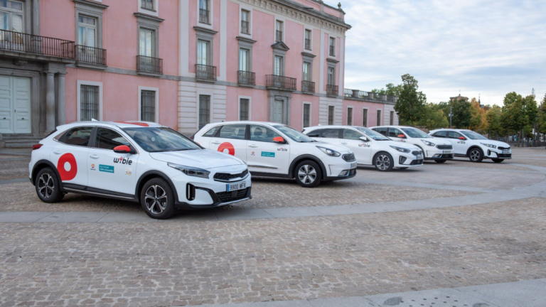 boadilla servicio wible