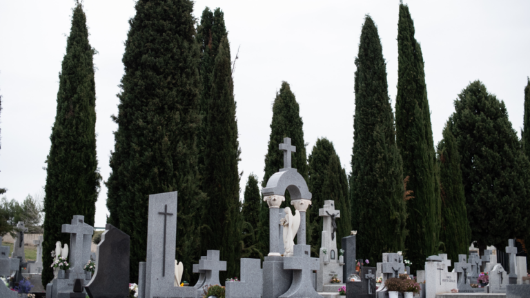 cementerio boadilla todos los santos misa