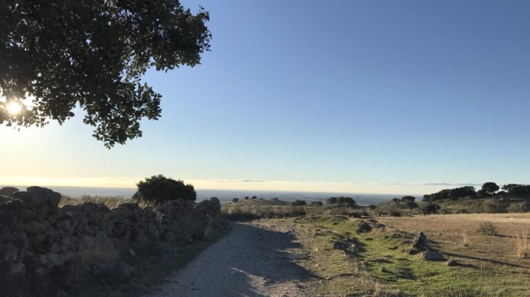 Trail Ruta