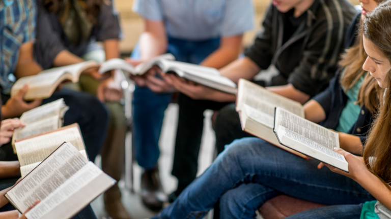 cursos uam majadahonda