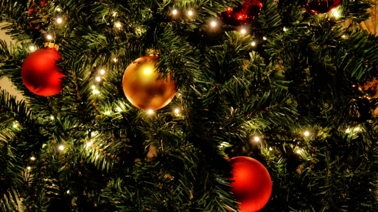 navidad soto real