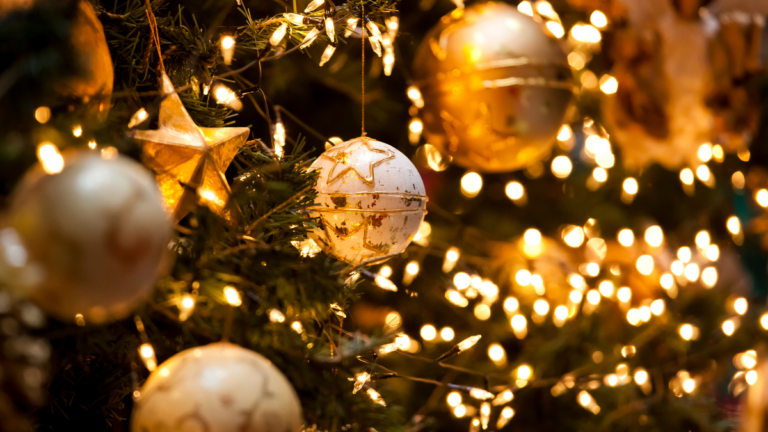 programacion navidad alpedrete