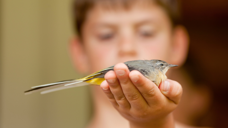 aula medioambiental boadilla cursos talleres