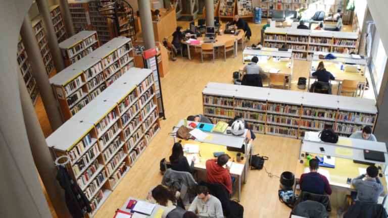 biblioteca nueva villaviciosa