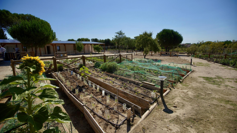 las rozas programa educacion ambiental