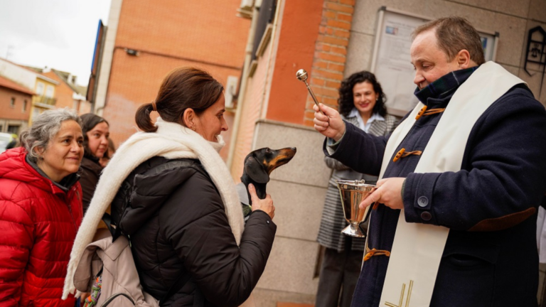 san anton bendicion animales colmenar viejo