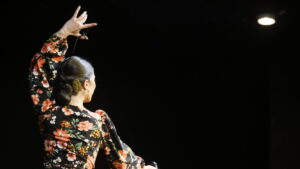 jornadas flamencas colmenar