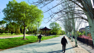 calidad vida satisfaccion alcobendas