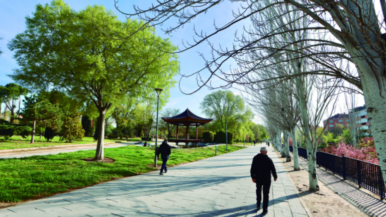 calidad vida satisfaccion alcobendas