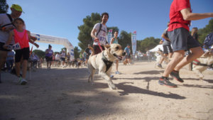 las rozas canicross