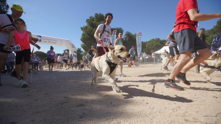 las rozas canicross