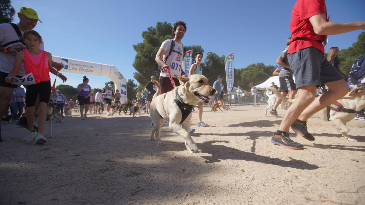 La segunda edición de CaniCross llega a Las Rozas en abril