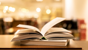 dia libro majadahonda