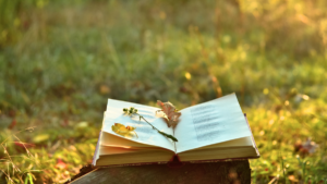 festival poesia getafe