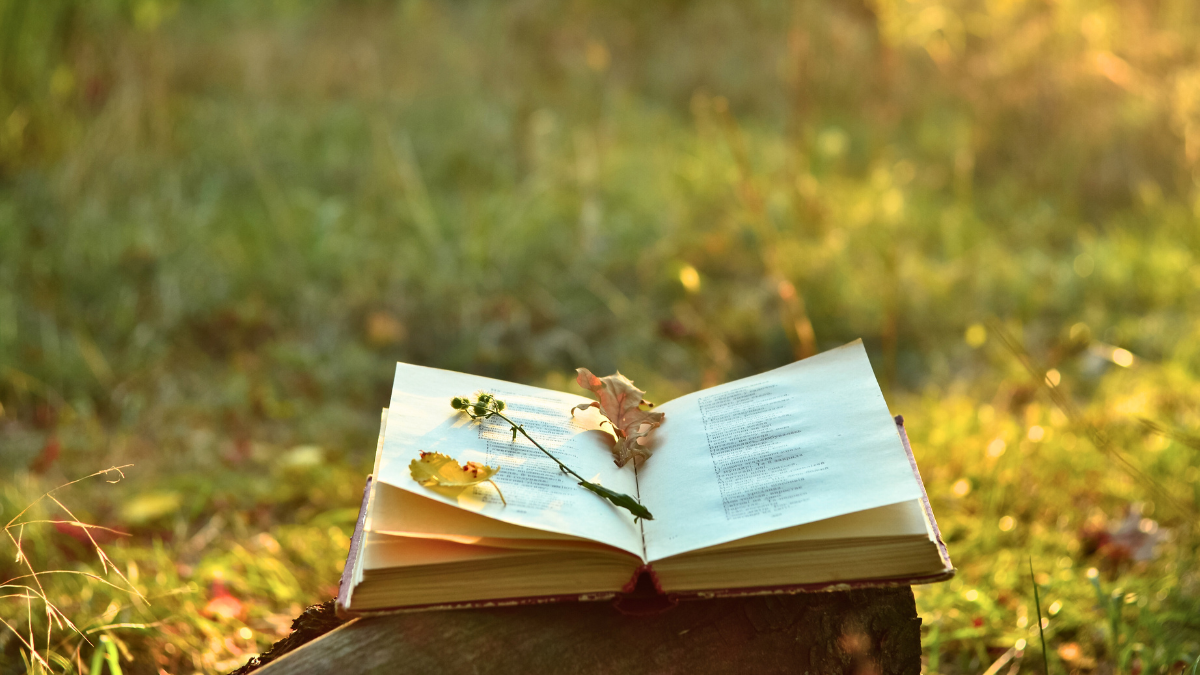 festival poesia getafe