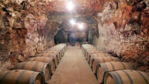 primera ruta del vino