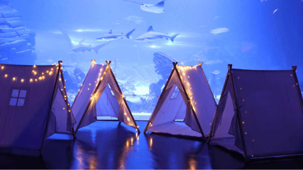 planes madrid mayo atlantis aquarium