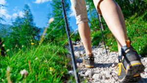 camino de santiago madrid