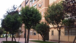 Getafe ayudas alquiler