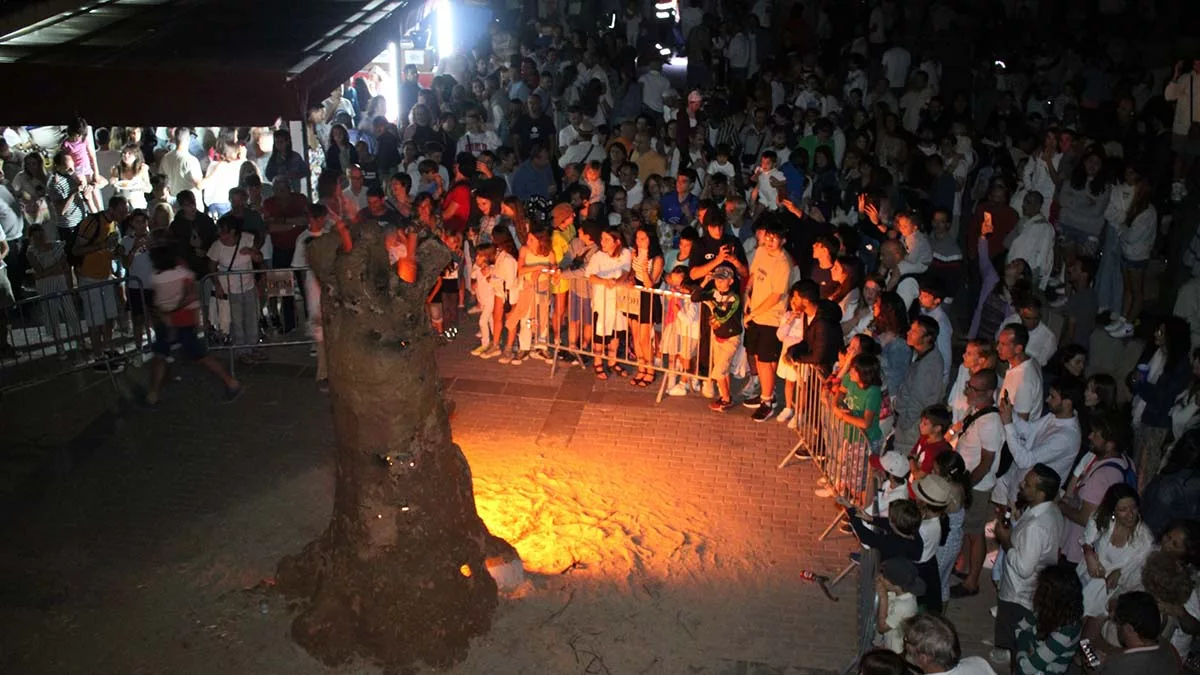 Mataelpino Noche en Vela