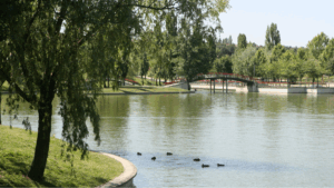 parque tres cantos