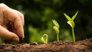 programacion aula medioambiental boadilla verano