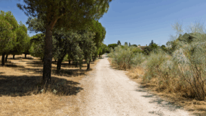boadilla ampliacion carril bici