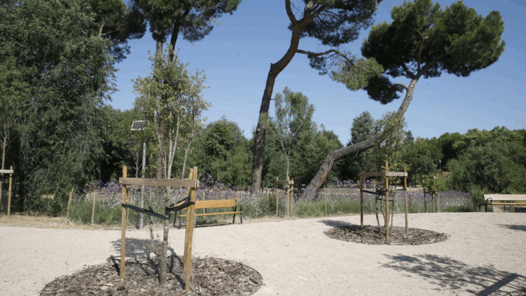 entorno colonia santa maría pozuelo madrid (1)