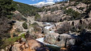 visitas Manzanares