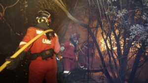 incendio Méntrida