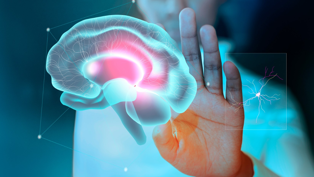Inneva Pharma, un ‘juego serio’ entre la medicina y la innovación