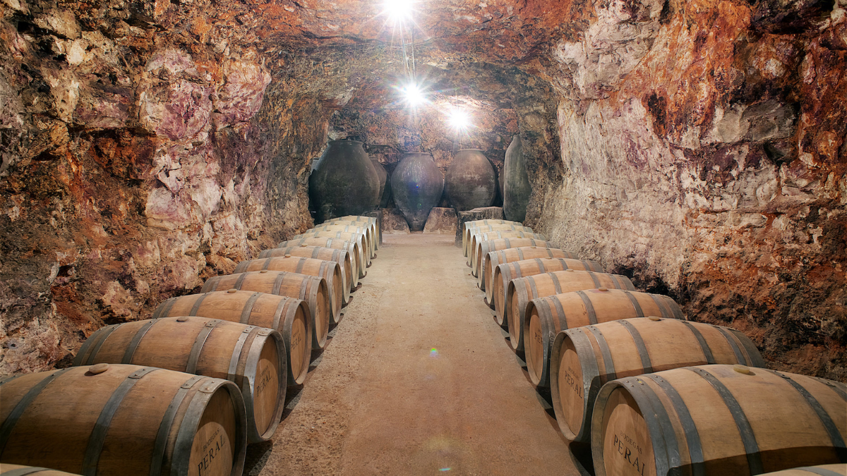 tren, bodegas y catas por 35 euros desde Madrid