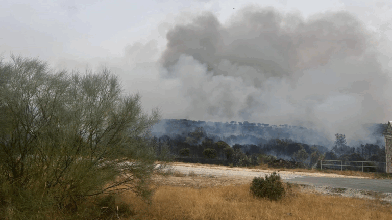 incendio Colmenar Viejo