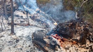 Tres Cantos afectados incendio