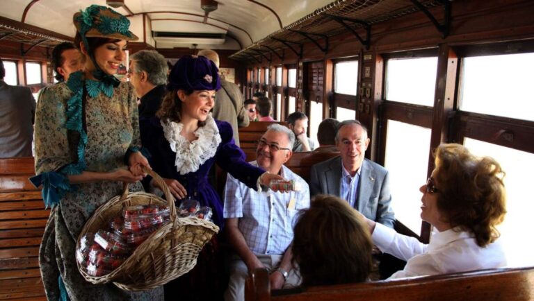 Tren de la Fresa