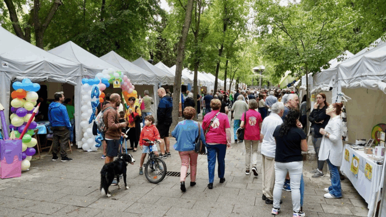 pinto feria asociaciones
