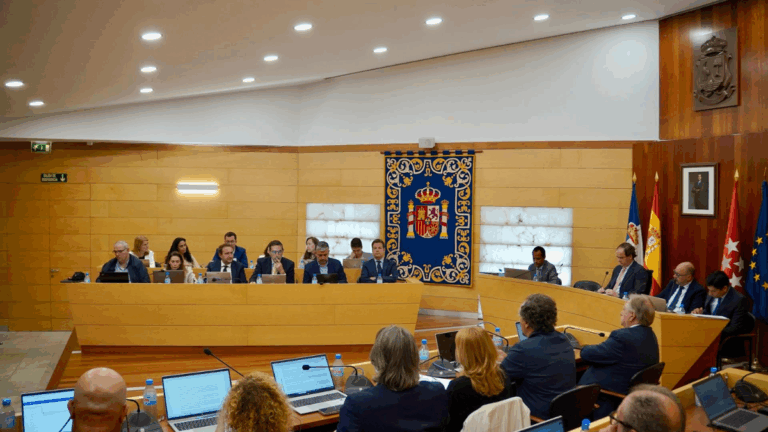 festivos locales las rozas 2026